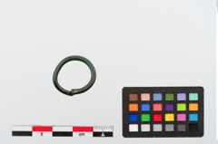 Foto von Bronzering (NHMW-PRAE-024278)
